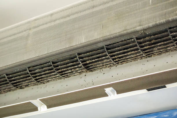 Best Affordable HVAC Duct Cleaning  in Bloomingdale, FL